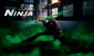 Image de NINJA™ - La perche télescopique en carbone